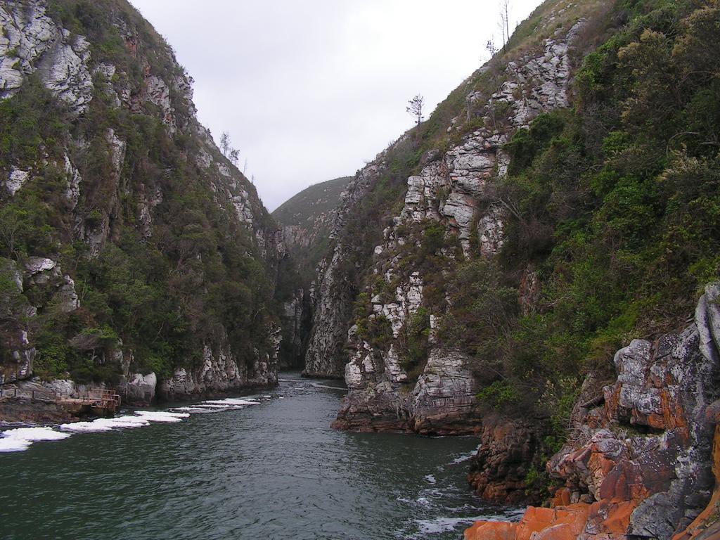 Fijnbosch Cottage And Camping Stormsrivier Værelse billede